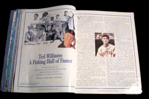 Ted Williams article art